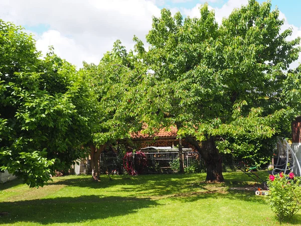 Cozy House Yard Scenic Countryside Green Deciduous Trees — Stock Photo, Image