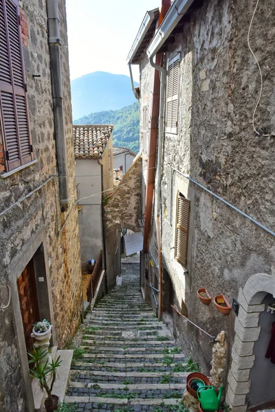 Medieval Stairs Sunny Narrow Street Houses Patrica Village Lazio Region — Stock Photo, Image