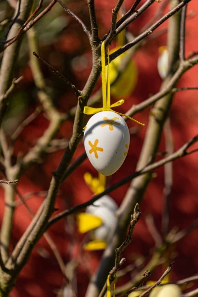 Schöne Aufnahme Eines Dekorativen Ostereiers Das Einem Ast Hängt — Stockfoto