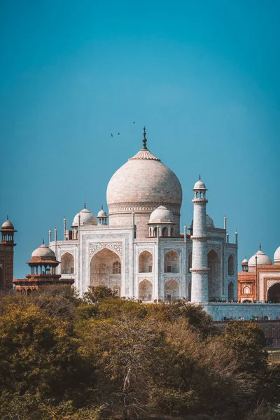 Pionowe Ujęcie Mauzoleum Taj Mahal Pod Błękitnym Niebem Agra Indie — Zdjęcie stockowe