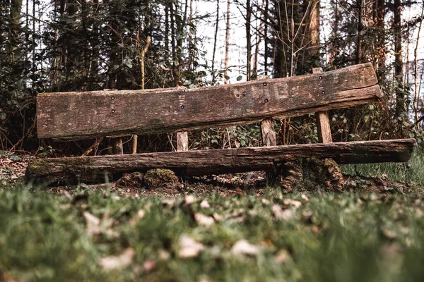 森の中の古い木のベンチ — ストック写真
