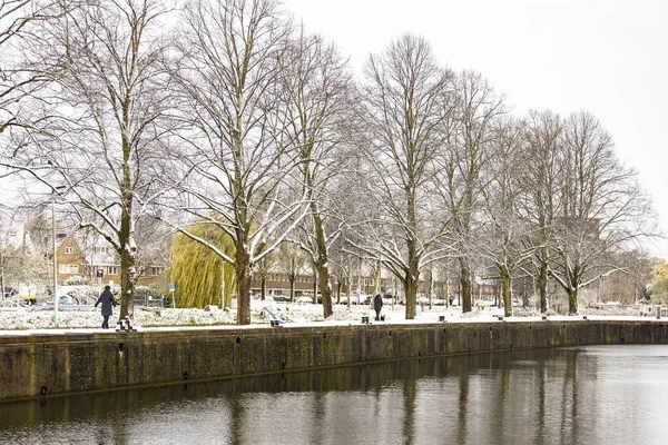 Riflettendo Alberi Nel Canale Leidsche Rijn Coperto Neve Con Rami — Foto Stock