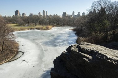 New York 'un ufuk çizgisi Central Park' tan görülüyor.