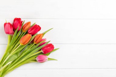 Fotokopi alanı olan beyaz bir arkaplanda renkli lalelerin yakın çekimi