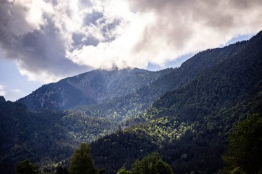Ağaçlarla kaplı katmanlı tepelerin manzarası ve üzerlerine düşen güneş ışığı.