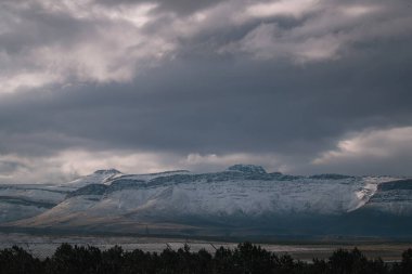 Güney Afrika, Matroosberg 'de bulutlu gri gökyüzü ile karlı dağların altında güzel bir ağaç manzarası