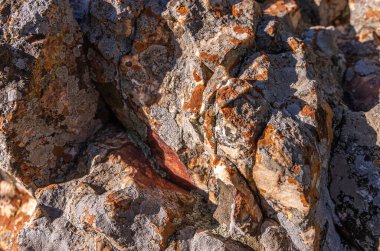 Bir kaya yüzeyinin yüksek açılı görüntüsü.