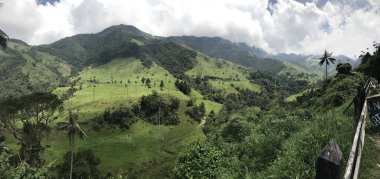 Kolombiya ufukta bulutlu bir gökyüzü olan Cocora vadisinde yeşil çimlerle kaplı güzel bir dağ manzarası ve uzun ağaçlar.
