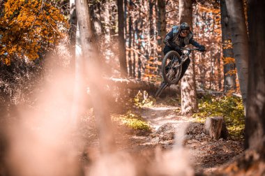 Bisiklet süren ve sonbaharda Slovakya 'da ormanda Holeshotpunx giyen bir adamın güzel bir fotoğrafı.