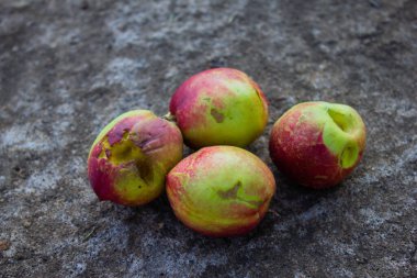 Yerde bir grup nektarin..