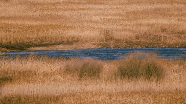 Mavi su birikintileriyle kahverengi bataklık.