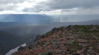Gün boyunca bulutlu bir gökyüzünün altında, ufukta dağlar olan dağlarda büyüyen vahşi bitkilerin güzel bir manzarası.