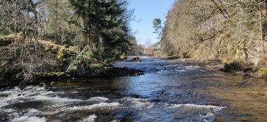 Ormanda kayaların üzerinden akan güzel bir nehir manzarası.
