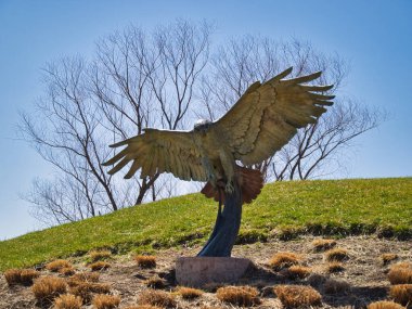 Birleşik Devletler 'deki Overland Park botanik bahçesindeki bir kartal heykeli.
