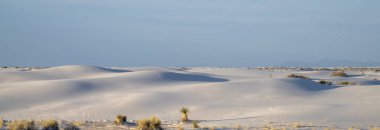 White Sands Ulusal Parkı, ABD 'de kışın güzel bir ormanın manzarası.