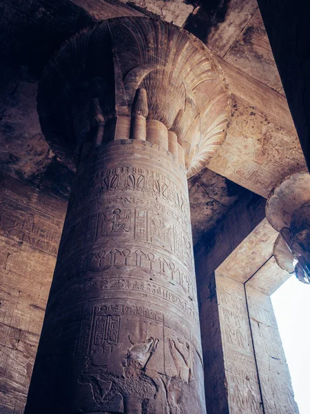 埃及一座古建筑的特写 — 图库照片