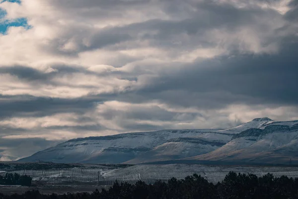 Krásný Výhled Krajinu Stromů Pod Sněhovými Útesy Proti Šedé Obloze — Stock fotografie