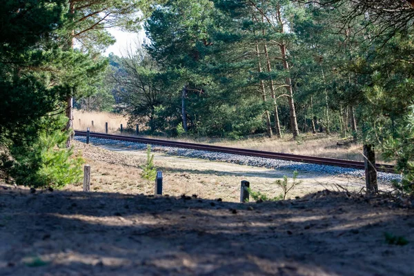 Een Prachtige Opname Van Een Spoorweg Door Het Bos — Stockfoto