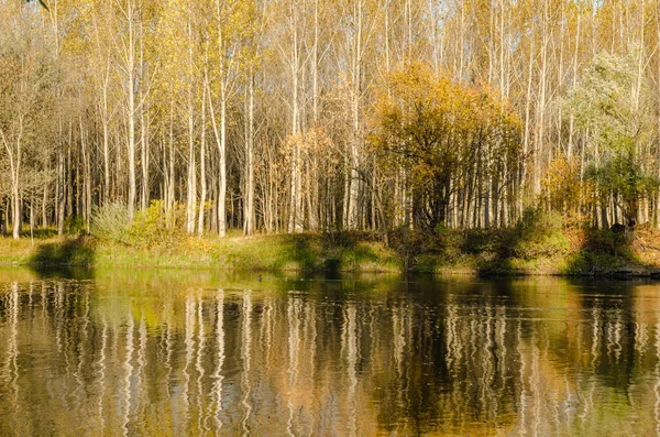 Scenci Autumn Panorama Artificial Lake Begecka Jama City Novi Sad — Stock Photo, Image