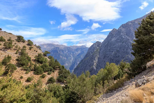 Scenic View Rocky Mountains Samaria Gorge Covered Green Pine Trees — Stock Photo, Image