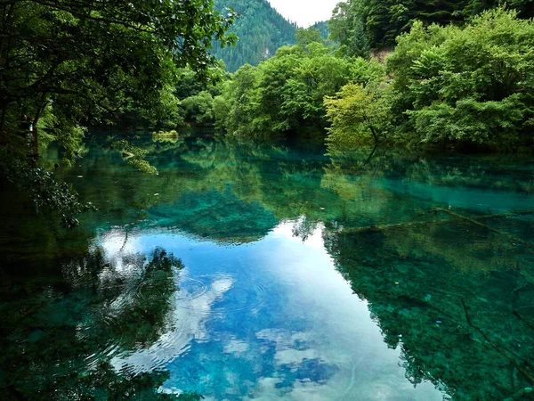 Lac Calme Avec Reflet Des Arbres Verts Ciel Bleu Nuageux — Photo