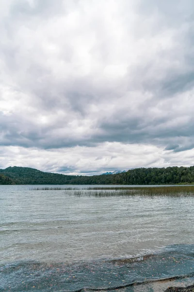 Tiro Vertical Belo Lago Densa Floresta Fundo Dia Nublado — Fotografia de Stock