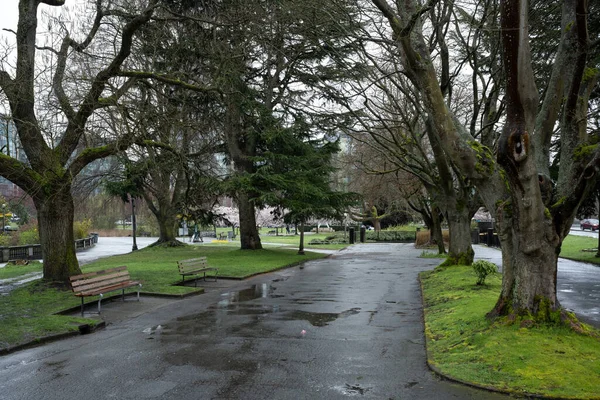 Der Stanley Park Einem Regnerischen Tag Vancouver Kanada — Stockfoto