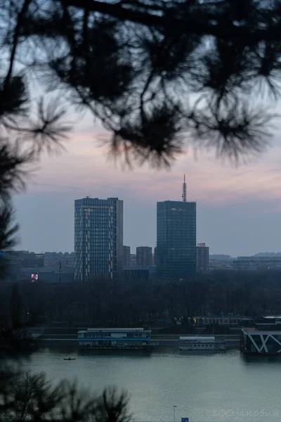 A vertical shot of two skyscrapers by a river in the city during sunset time