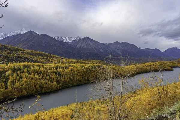 Une Vue Magnifique Des Arbres Jaunes Vibrants Couvrant Les Collines — Photo