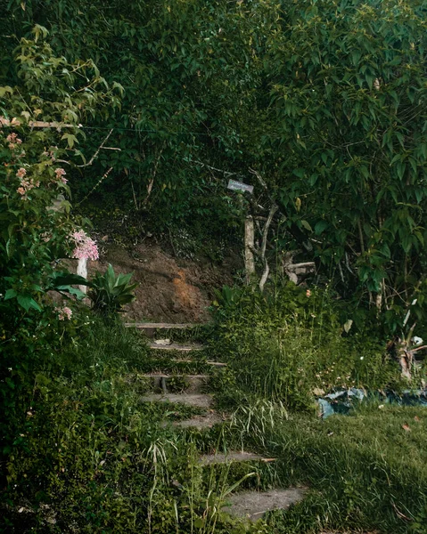 Vertikální Záběr Schody Svěží Zeleni Zahrady Antigua Guatemala Guatemala — Stock fotografie