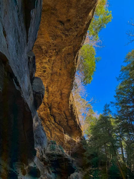 Tiro Vertical Uma Caverna Floresta Com Abetos Sob Céu Azul — Fotografia de Stock