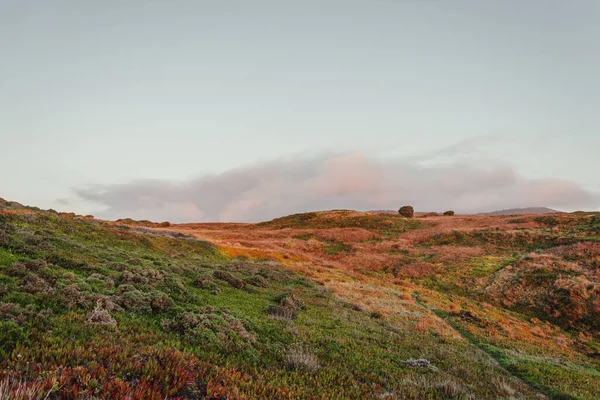 Een Getextureerd Aards Groen Bruin Landschap Van Een Kustklif Portugal — Stockfoto