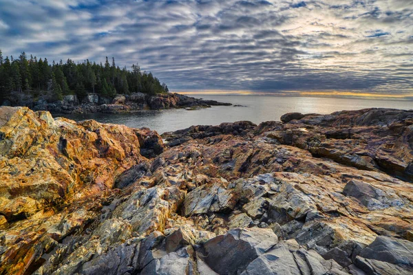 Bulutlu Bir Sabahta Maine Acadia Ulusal Parkı Ndaki Kayalık Maine — Stok fotoğraf