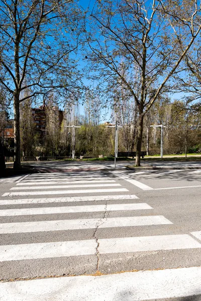 Uma Foto Vertical Uma Estrada Com Passarela Árvores Uma Cidade — Fotografia de Stock