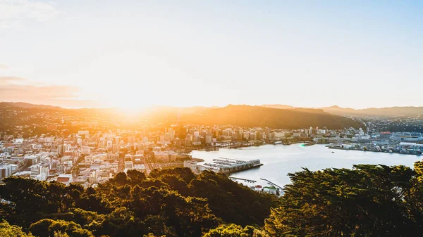 Naturskön Flygbild Arkitekturen Wellington Nya Zeeland Solnedgången — Stockfoto