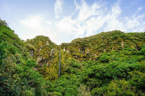 Yeni Zelanda Egmont Ulusal Parkı Ndaki Doğal Bir Tepe Manzarası — Stok fotoğraf