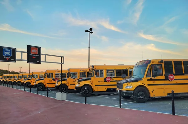 Линия Желтых Школьных Автобусов Огден Пойнт Даллас Роуд Виктория Британская — стоковое фото