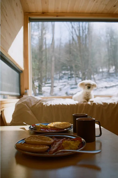 A Big breakfast with hotcakes food on the table and a Maltese dog by the window in New York, USA