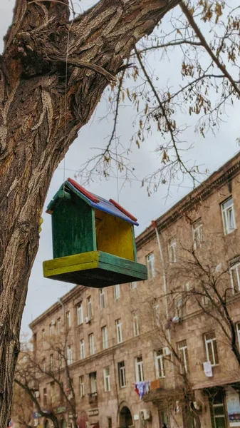 Bir Binanın Arkasındaki Ağaçtan Sarkan Renkli Bir Kuş Evinin Dikey — Stok fotoğraf