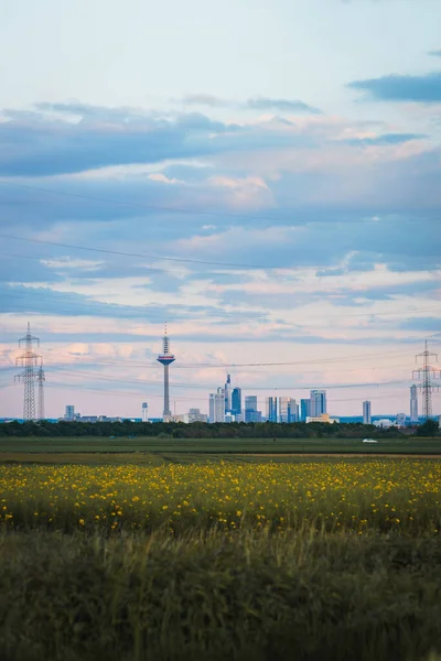 Plan Vertical Horizon Francfort Derrière Une Belle Prairie Verte — Photo