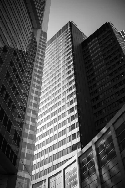 Black White Shot Modern Buildings Frankfurt — Stock Photo, Image