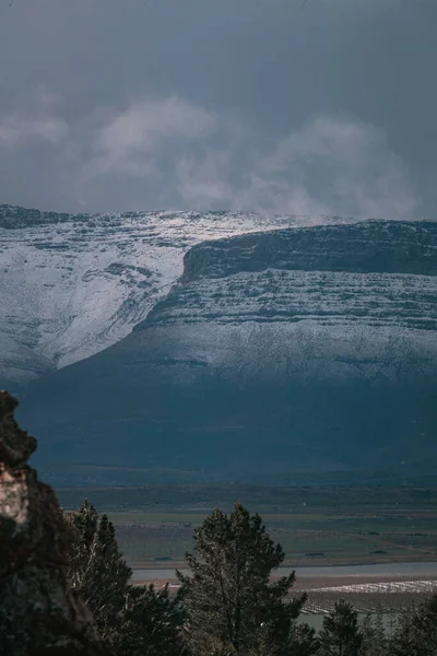 南アフリカのMatroosbergの灰色の空に対する雪の崖の下の木の垂直風景 — ストック写真