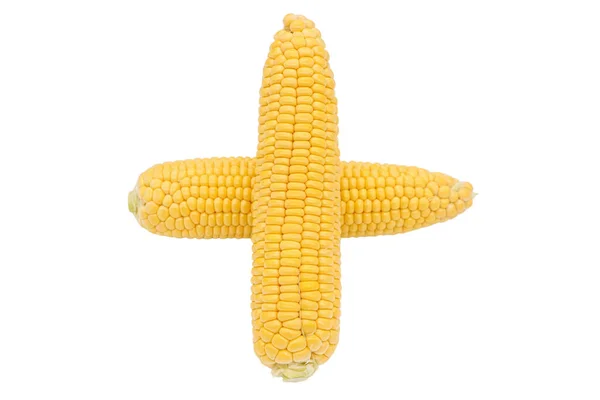 两个在白色背景中隔离的玉米的特写 — 图库照片