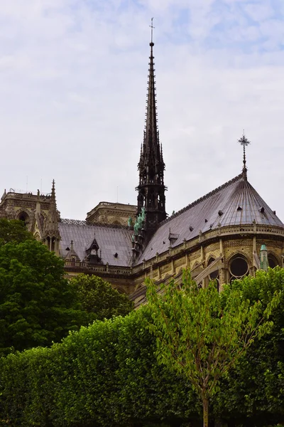 Plano Vertical Del Antiguo Edificio Histórico Notre Dame Paris Con —  Fotos de Stock