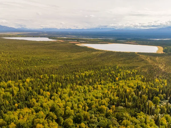 Malebný Výhled Cobbská Jezera Obklopená Bujnou Zelení Aljašce Usa — Stock fotografie