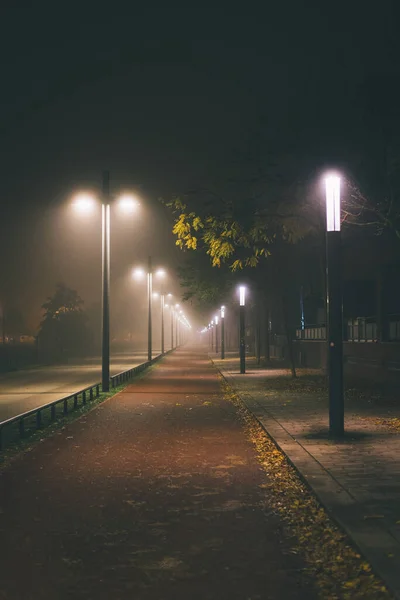 Vertical Shot Beautiful Park Foggy Day — Stock Photo, Image