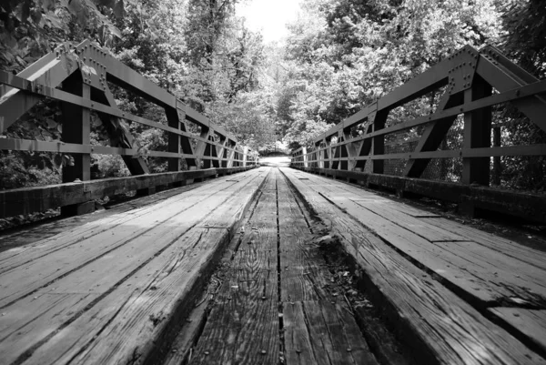 Ένα Γκρι Πλάνο Μιας Μεγάλης Ξύλινης Γέφυρας Ένα Δάσος — Φωτογραφία Αρχείου