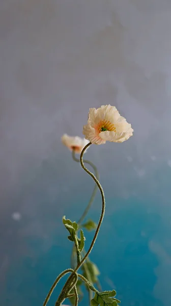 Una Messa Fuoco Selettiva Verticale Fiore Papavero Uno Sfondo Rosa — Foto Stock