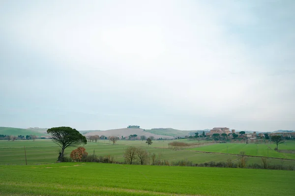 Scenic View Meadows Francigena Tuscany Italy — Stock Photo, Image