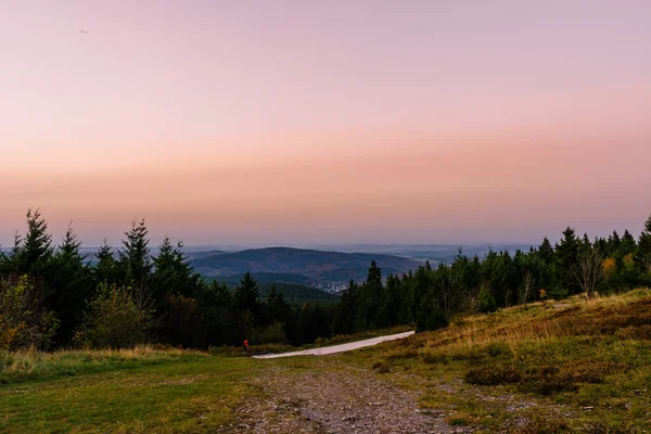 Des Conifères Verts Avec Une Colline Ciel Rouge Sur Fond — Photo